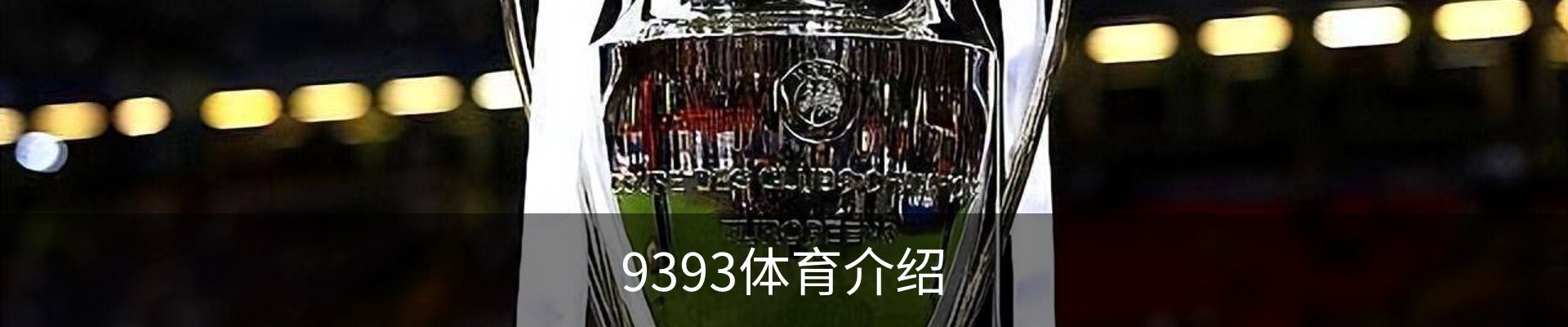 9393体育介绍